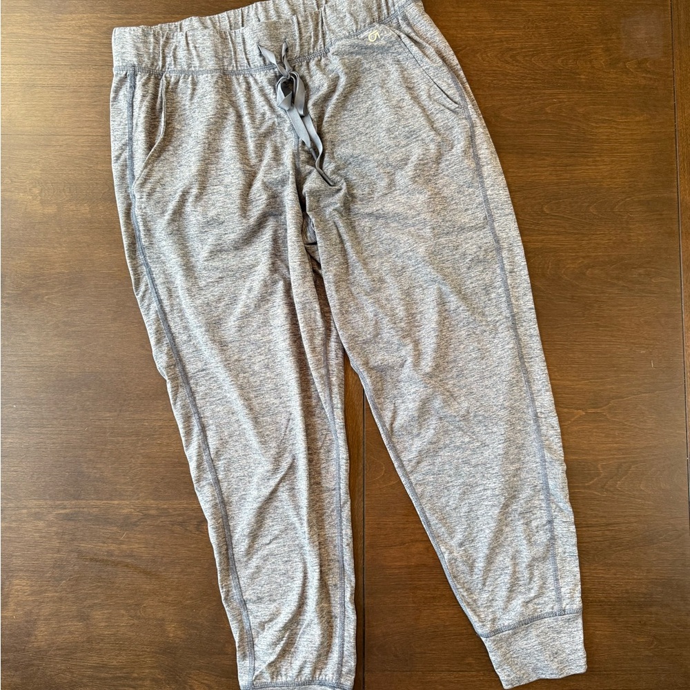 GAP Women's Blue Heathered Brushed Joggers